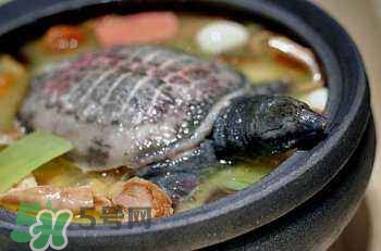 產(chǎn)婦能吃甲魚嗎？產(chǎn)婦能吃甲魚湯嗎？