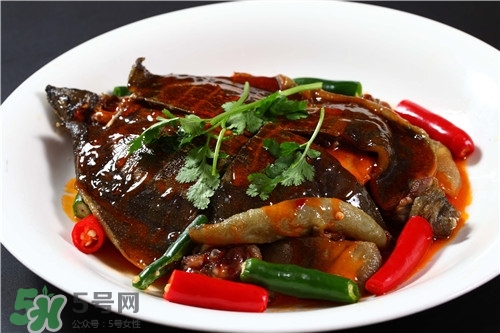 甲魚湯是涼性的嗎？甲魚湯的禁忌人群
