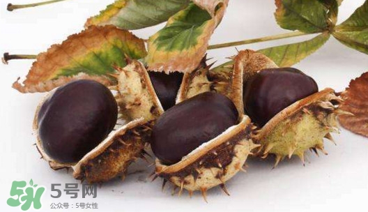 板栗殼里面的皮能吃嗎？板栗殼有什么作用
