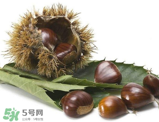板栗殼里面的皮能吃嗎？板栗殼有什么作用