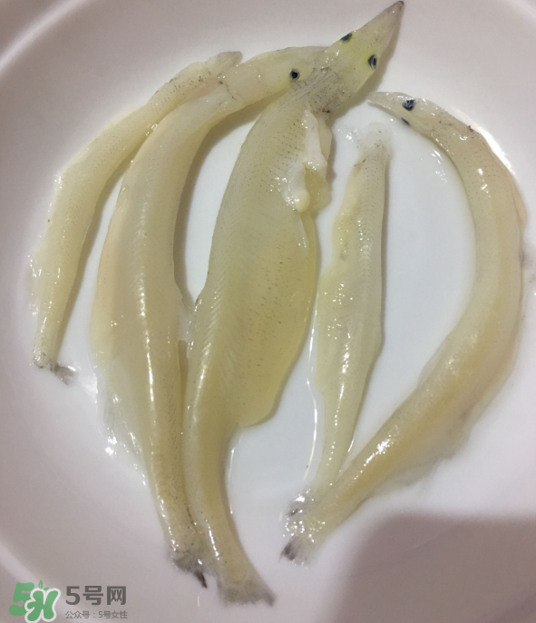 大銀魚怎么做好吃？大銀魚的做法大全