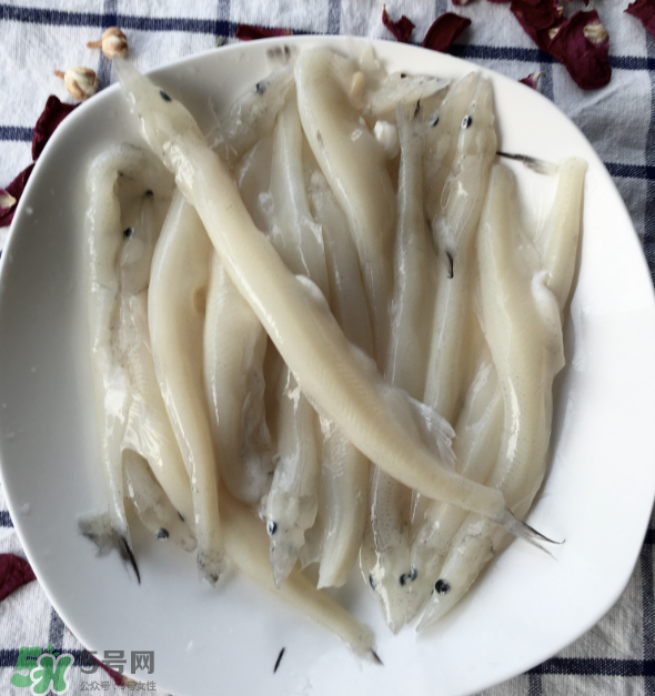 大銀魚多少錢一斤？大銀魚怎么洗？
