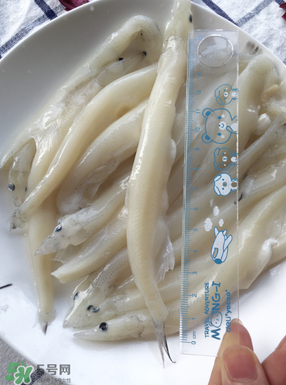 大銀魚多少錢一斤？大銀魚怎么洗？