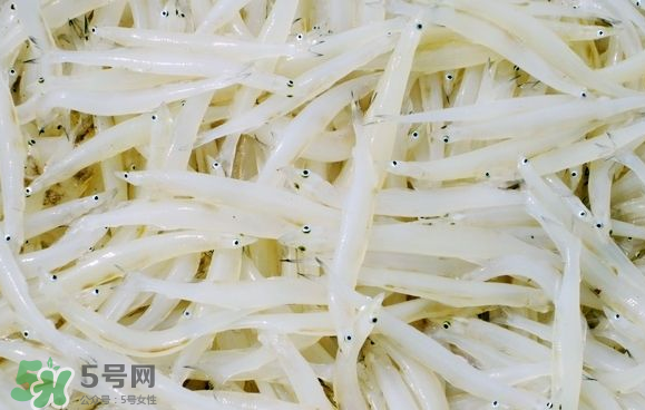 銀魚(yú)可以煲粥嗎？銀魚(yú)可以包餃子嗎？