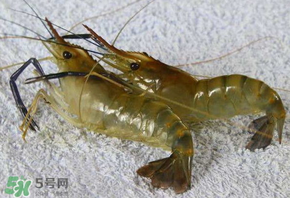 河蝦是酸性還是堿性？河蝦是涼性還是熱性？