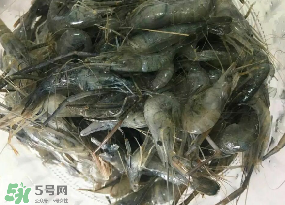 河蝦是基圍蝦嗎？河蝦是辛辣食物嗎？
