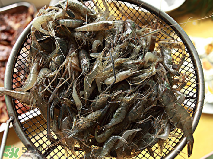 河蝦可以吃頭嗎？蝦頭到底能不能吃？
