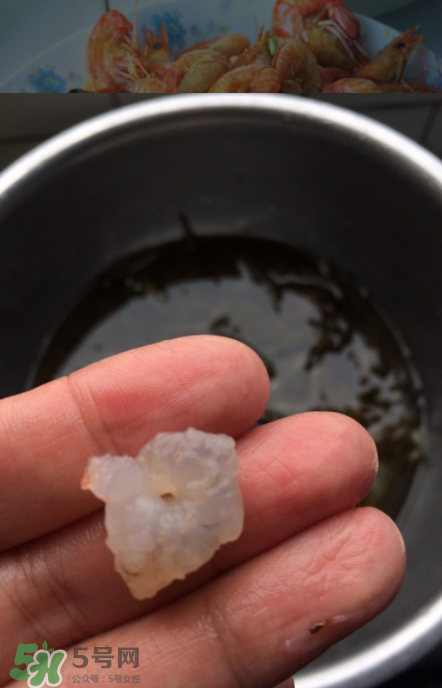 河蝦可以放冰箱嗎？河蝦在冰箱能放幾天？