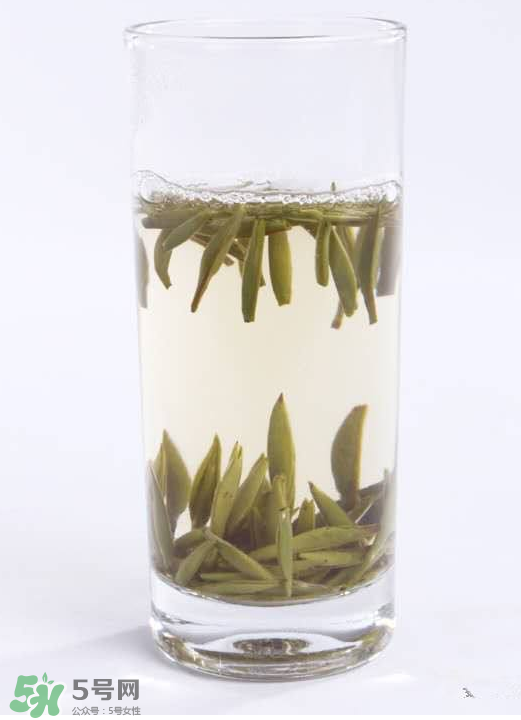 白毫銀針屬于綠茶嗎？白毫銀針是什么茶？
