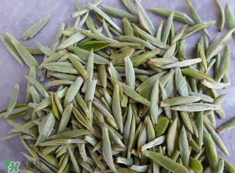 白毫銀針屬于綠茶嗎？白毫銀針是什么茶？