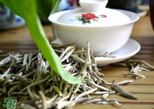 白茶需要洗茶嗎？白茶是洗還是不洗？