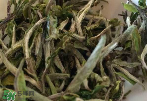 白茶需要洗茶嗎？白茶是洗還是不洗？
