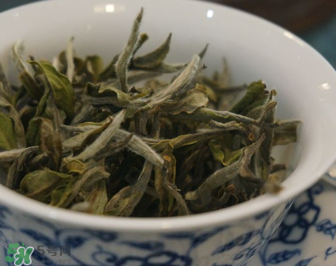白茶需要洗茶嗎？白茶是洗還是不洗？