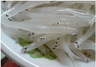 銀魚怎么保存？銀魚可以放在冰箱冷凍保存嗎？