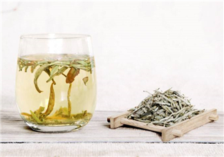 白毫銀針屬于綠茶嗎？白毫銀針是什么茶？