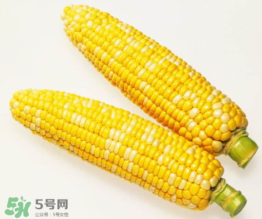 九月份能種玉米嗎？玉米九月份還可以種嗎？