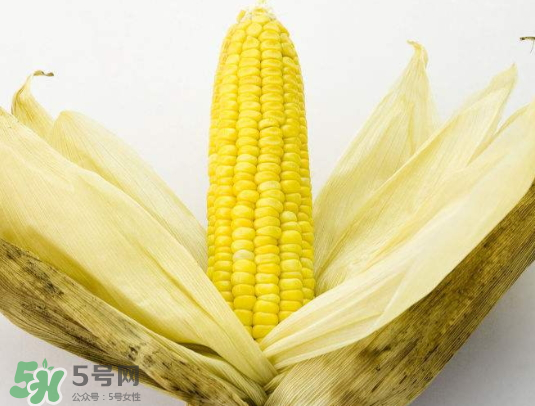 九月份能種玉米嗎？玉米九月份還可以種嗎？