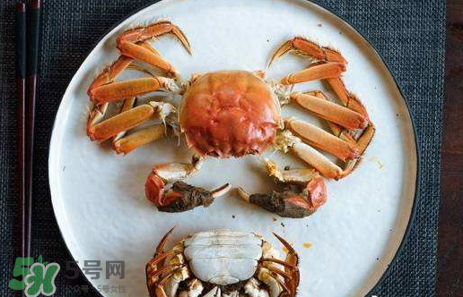 啤酒蒸大閘蟹好吃嗎？啤酒蒸大閘蟹怎么吃？