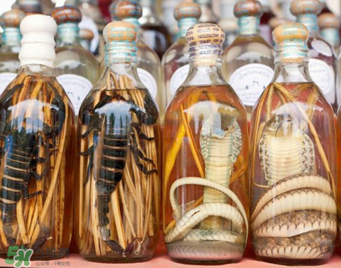 毒蛇泡酒有毒嗎？毒蛇泡酒能喝嗎？