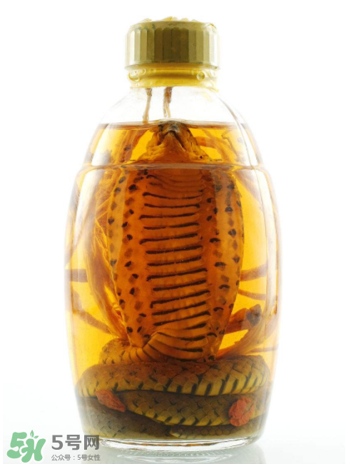 毒蛇泡酒有毒嗎？毒蛇泡酒能喝嗎？