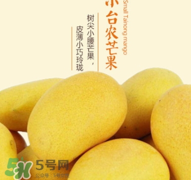 臺農(nóng)芒果多少錢一斤？臺農(nóng)芒果為什么叫臺農(nóng)芒果