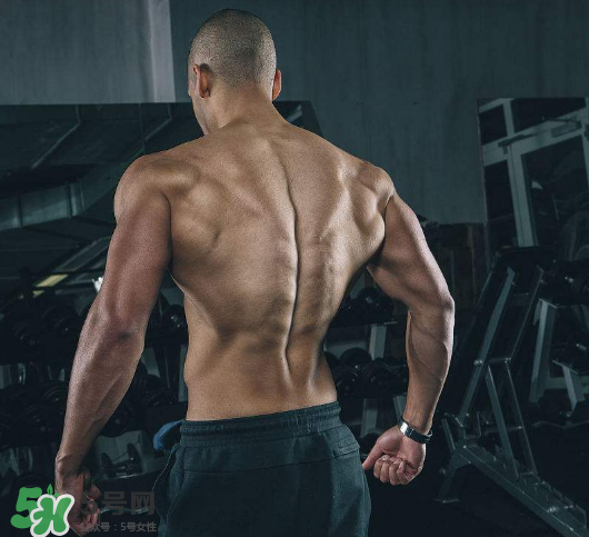 龍門架怎么練背？龍門架練背動作推薦