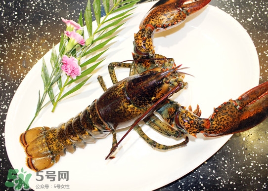 波士頓龍蝦頭能吃嗎？波士頓龍蝦哪里不能吃