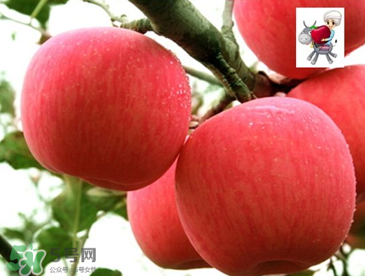 阿克蘇蘋(píng)果什么時(shí)候上市？阿克蘇蘋(píng)果幾月上市？