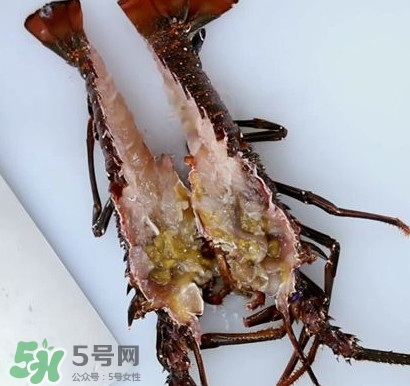 4斤的波士頓龍蝦多少錢？波士頓龍蝦怎么處理