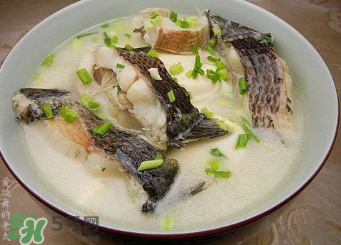 黑魚湯是發(fā)物嗎？黑魚湯可以放香菇嗎