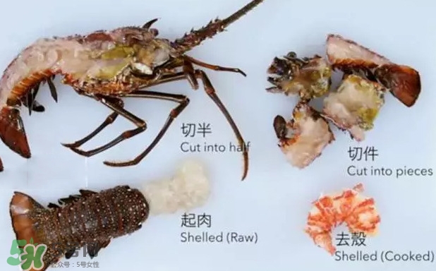 波士頓龍蝦有多大？波士頓龍蝦怎樣去殼
