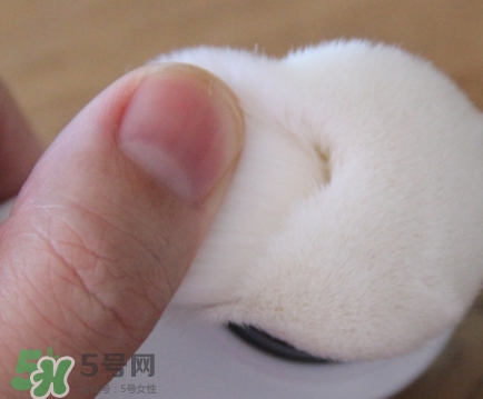 neogen妮珍面膜怎么樣？冷門性價(jià)比高的面膜