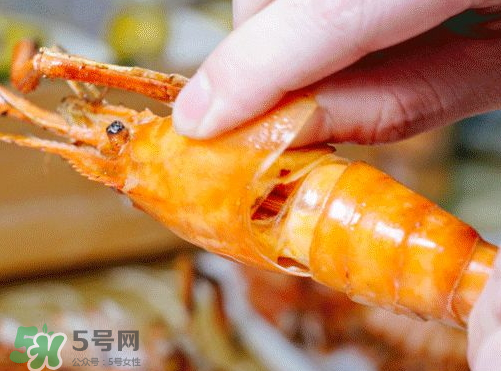 大頭蝦怎么做好吃？大頭蝦怎么處理？