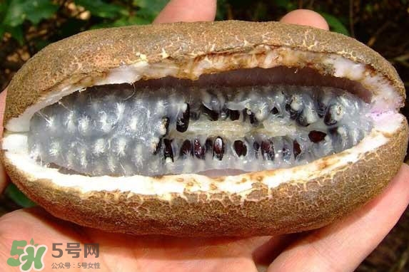 八月瓜能吃嗎？八月瓜到底有什么價值？