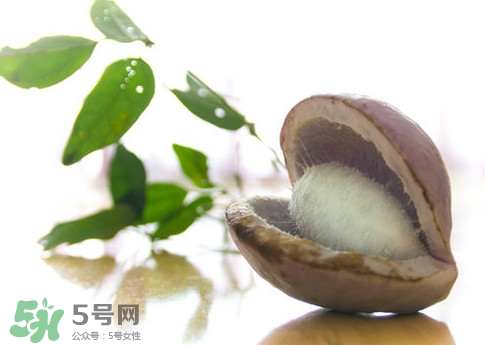 八月瓜可以泡酒嗎？八月瓜可以治乙肝嗎