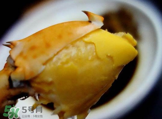 黃油蟹是什么蟹？黃油蟹多少錢一只
