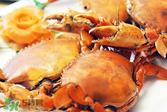 黃油蟹怎么處理？青蟹與黃油蟹有什么區(qū)別