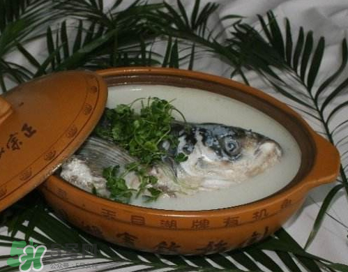 鰱魚頭湯孕婦可以吃嗎？鰱魚頭湯的功效與作用