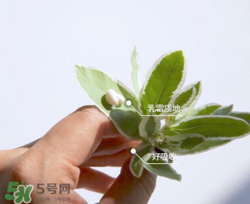 城野醫(yī)生377有副作用嗎？城野醫(yī)生377用了臉癢是什么原因？