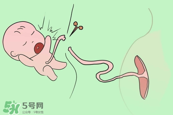 寶寶臍帶什么時(shí)候脫落？寶寶臍帶脫落后怎么護(hù)理？