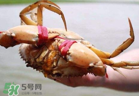 黃油蟹的選蟹標準是什么？黃油蟹的等級分類
