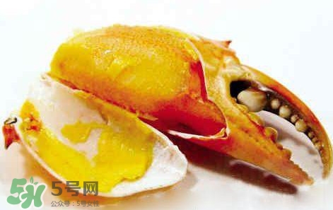 黃油蟹怎么保存？黃油蟹的營養(yǎng)價值