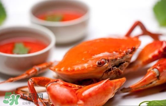 黃油蟹是海蟹嗎？黃油蟹是如何進(jìn)化的