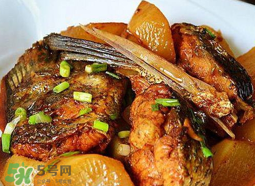 鱸魚可以紅燒嗎？鱸魚清蒸還是紅燒好吃？