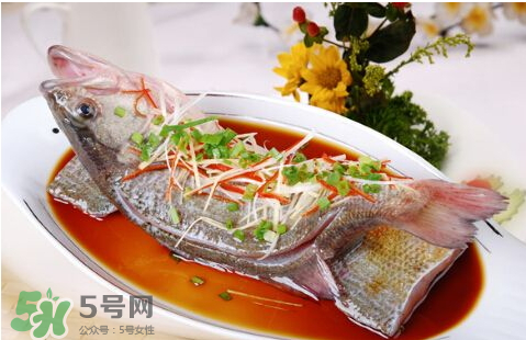 鱸魚為什么沒有刺？鱸魚為什么刺少？