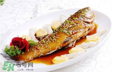 鱸魚為什么沒有刺？鱸魚為什么刺少？