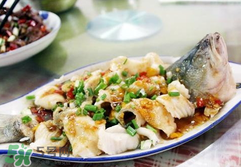 鱸魚為什么沒有刺？鱸魚為什么刺少？