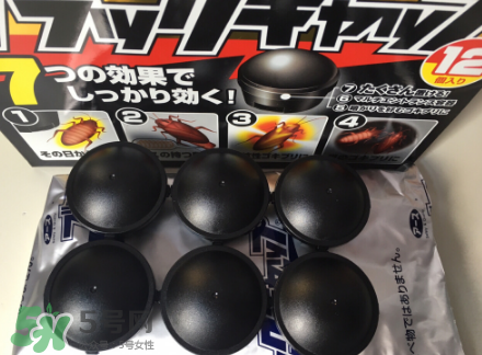 日本蟑螂藥哪里買得到？