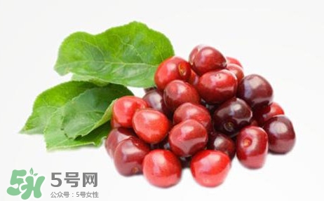 蔓越莓什么時候成熟？蔓越莓什么時候吃最好