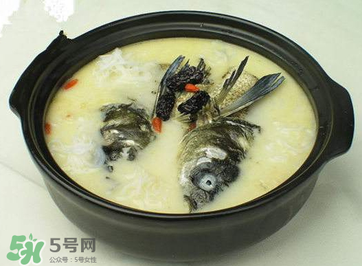 鯉魚湯怎么做好吃？鯉魚湯里面可以放什么？